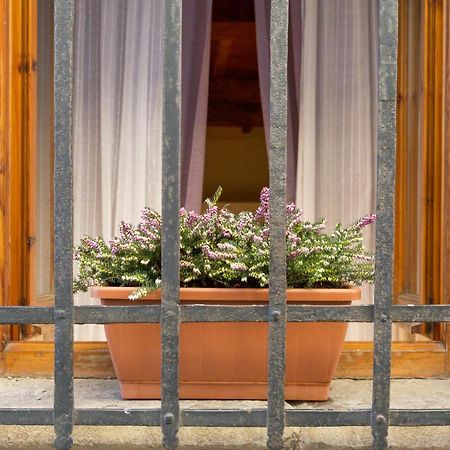 San Frediano District - Apartment Флоренція Екстер'єр фото